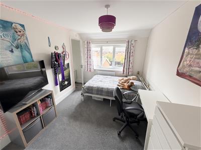 Picture 20